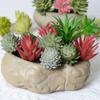 Uau Bonsai de Suculenta Artificial Personalizado Plantio Flocagem Acessórios de Suculenta Falsa Artificial Plantas Verdes DIY Decoração de Casa