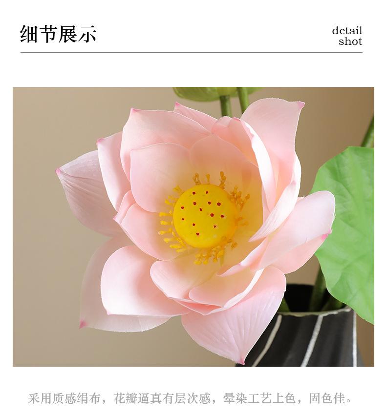 初尘荷花系列_16.jpg