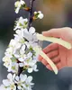 Tesoura de Florista, Tesoura Floral para Cortar Flores Frescas