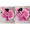 Grampo de cabelo super fada doce fresco phalaenopsis flor florescendo grampo de cabelo feminino design de moda sentido cabeça tubarão grampo de cabelo
