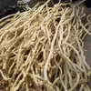 Ramas Secas Ramas Blancas Peladas Árbol de la Suerte Decorativo Adornos para Paisajismo Accesorios para Ventanas Forma de Madera Maciza Árbol Muerto Poste de Ratán