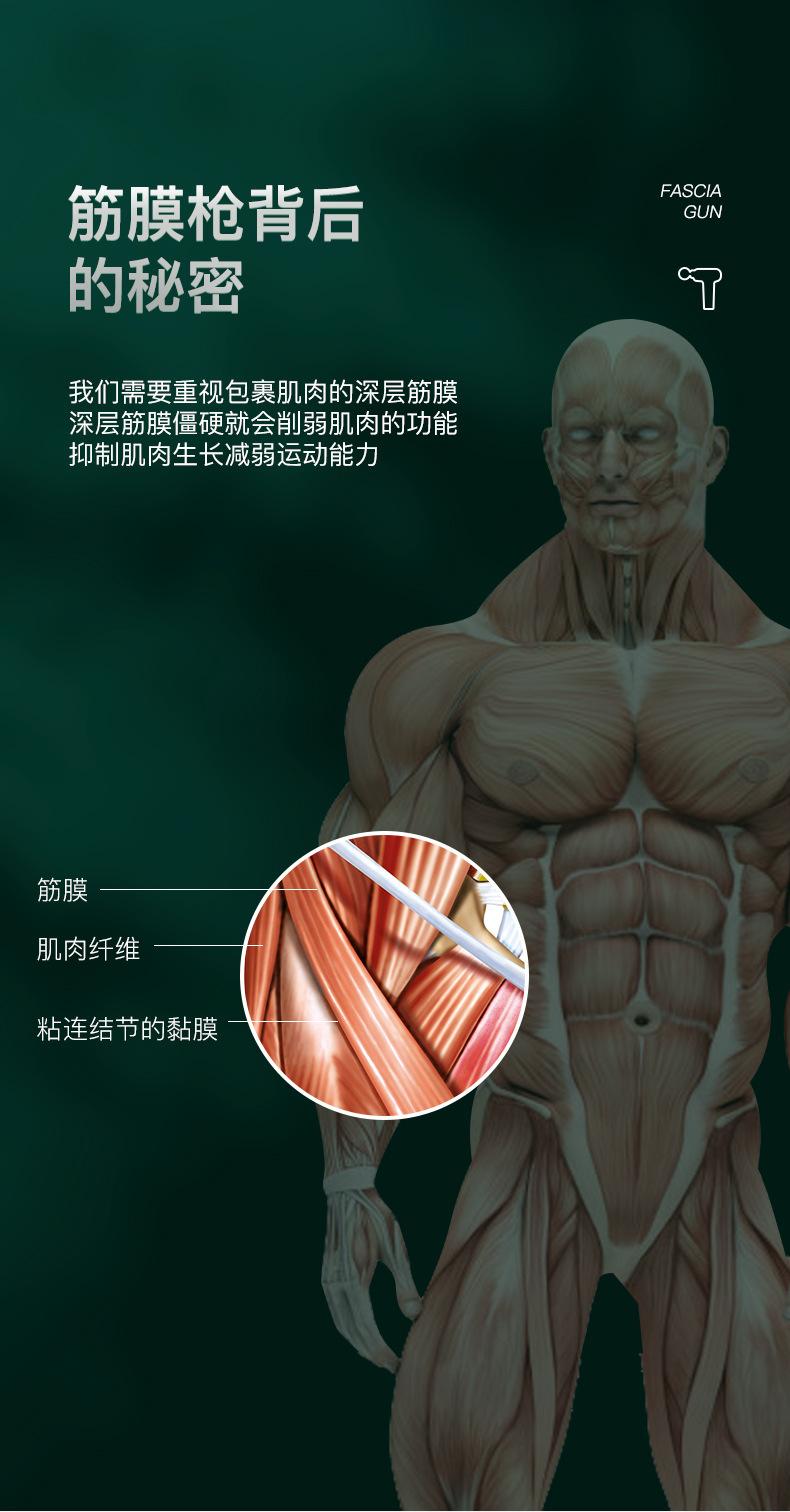 迷你筋膜枪02_08.jpg