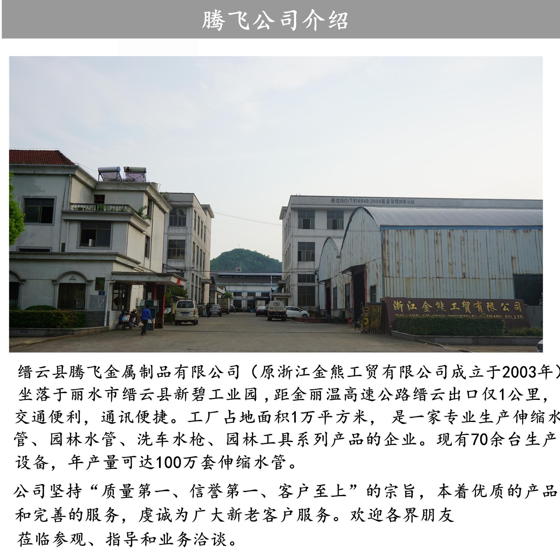 公司介绍模板1