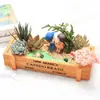 Dia da Árvore DIY Combinação de Suculentas Pacote de Plantas em Vaso diy Pacote de Materiais para Micro Paisagismo Atividade do Dia 8 de Março Materiais para o Dia do Professor