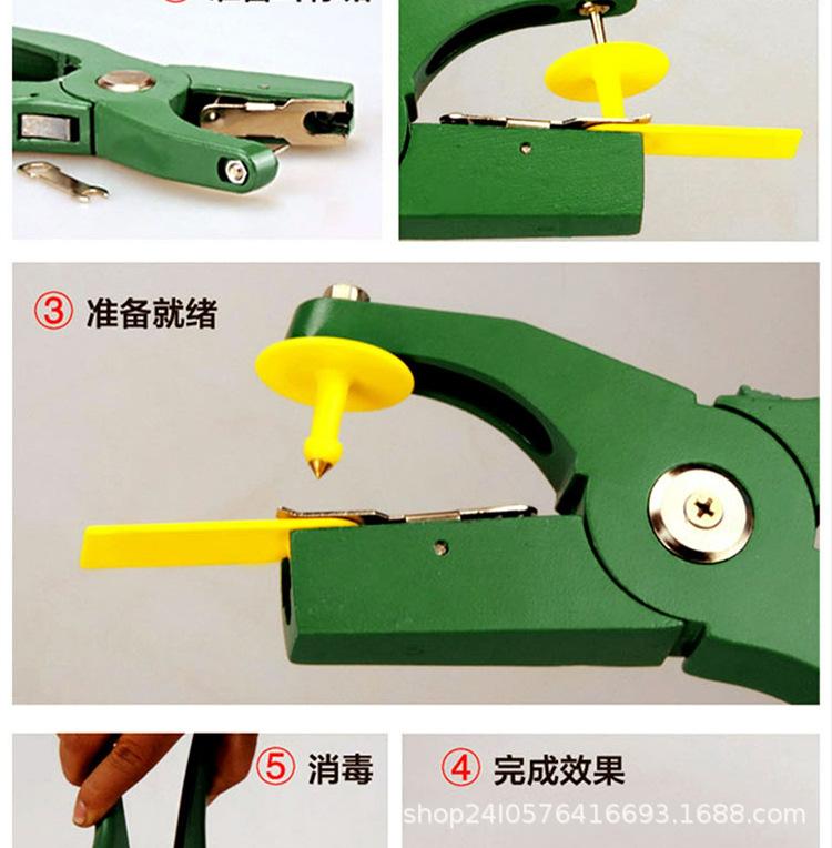 耳标_10.jpg