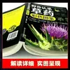 Completa 3 Volúmenes de Ilustraciones Coloridas de Identificación de Medicina Herbal Silvestre, Medicina Herbal de Shennong, Enciclopedia de Medicina Herbal China, Identificación de Plantas Medicinales