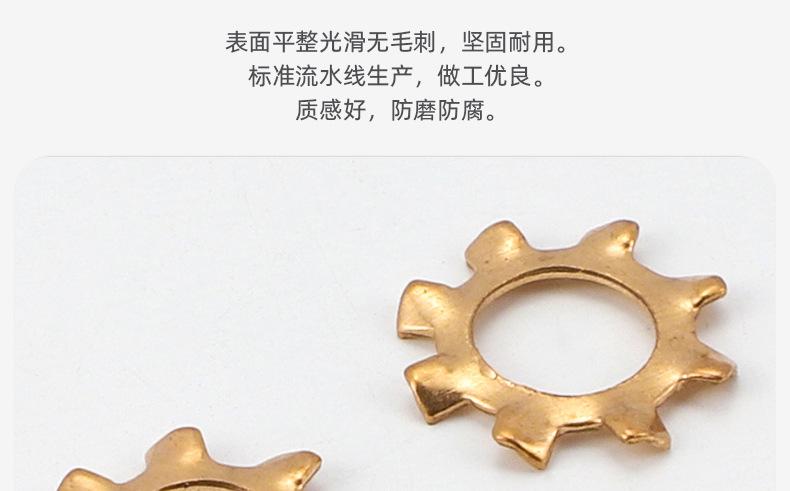 黄铜外齿止动垫圈_03_05.jpg