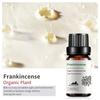 Exportación Transfronteriza Aceite Esencial Individual Fragancia Aromaterapia Masaje Aceite Esencial Sándalo Difusor Mayoreo Muestra de 10 ml