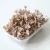 Flor Preservada Hortensia Flor Seca Materiales Coloridos Pegatinas para Uñas DIY Decoración de Regalo de Navidad Accesorios para Colgar Personalizado Venta al por Mayor