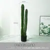 Pilar de Hada de Simulación Nórdica Sin Espinas Grande de Piso Planta Verde Tropical del Desierto Regla Medidora Cactus Falso Adornos de Planta en Maceta