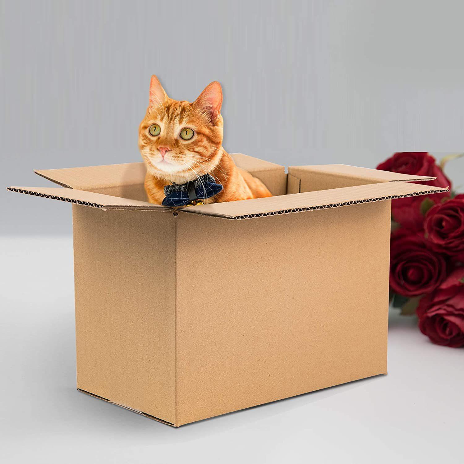 71N1i8fn+aL._AC_SL1500_