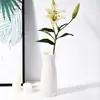 Florero de Plástico para Sala de Estar, Mini Florero Anticaídas con Ilustración, Aspecto de Alta Gama, Adorno Hidropónico Sencillo para Estudio, Florero para Flores Artificiales