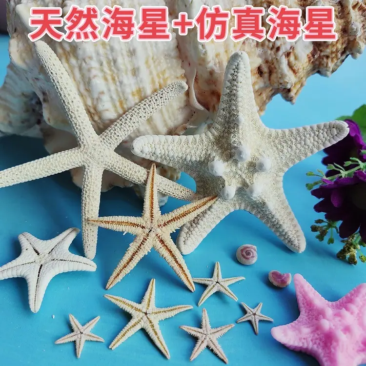 MEITU_20241215_132144955