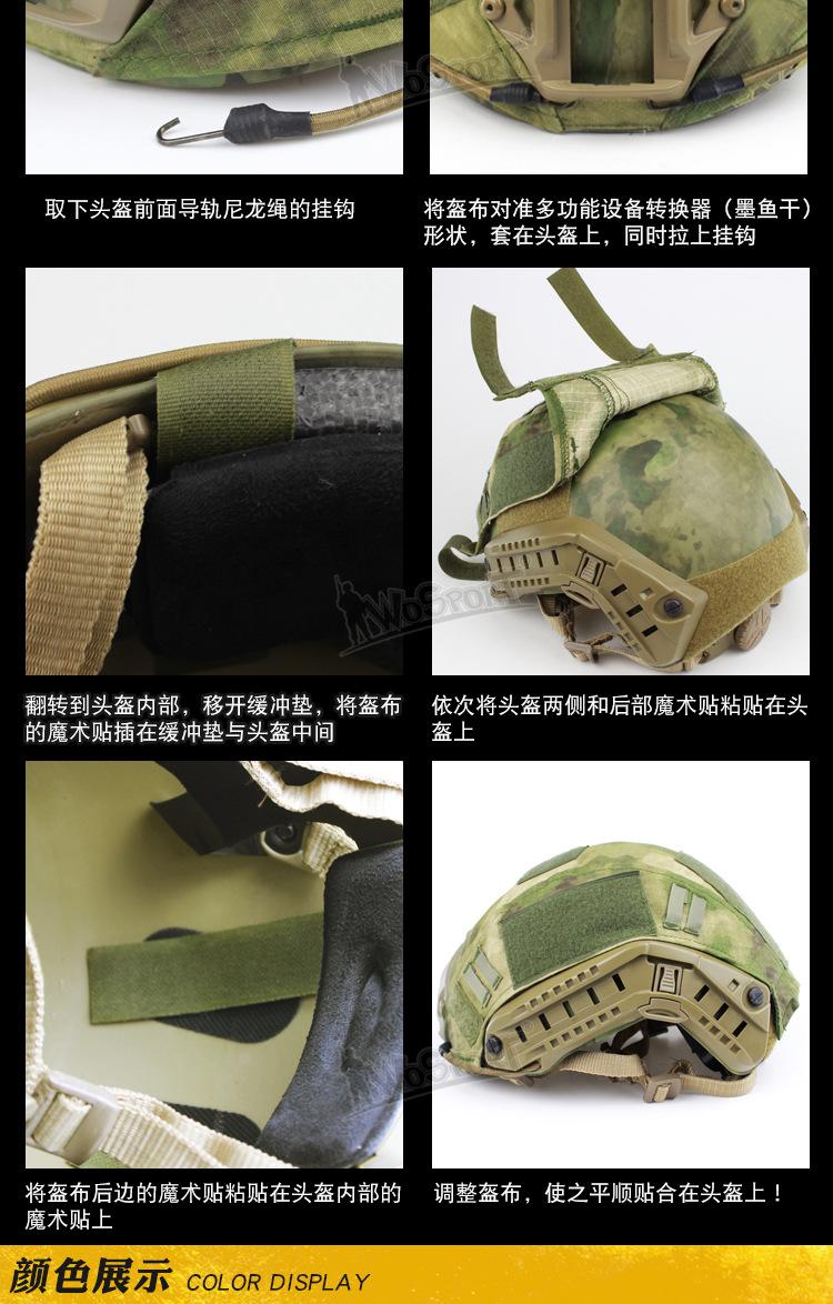 CO-04_06.jpg