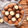 Leche de Macadamia Frutos Secos con Sabor 500g Cremosos Frutas de Verano Frutos Secos Semillas Tostadas y Frutos Secos Snacks para Mujeres Embarazadas Nueva Llegada