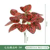 Flor artificial planta verde flor falsa vestido casamento ao ar livre casa casamento adereços flor acabada à mão ornamentos de plástico atacado