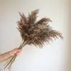 Pinha Flores Secas Artesanais Adereços de Fotografia Materiais Florais DIY Decorações para Sala de Estar Presentes de Natal