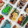 Paquete de Materiales Hechos a Mano para Bricolaje Flores Mixtas Plantas Naturales Flores Secas Piñas de Navidad Estilo Bosque para Jardín de Infancia Decoración de Creación Ambiental