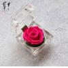 Caja de regalo de flor inmortal de acrílico con rosa de cristal, flor verdadera de confesión, Tanabata, regalo de San Valentín en Amazon.