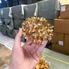 Atacado Folha de Ouro Única Eucalipto Folha de Ginkgo Flor Artificial de Ano Novo Material Balde da Fortuna Arranjo de Flores DIY Flor Falsa de Ano Novo