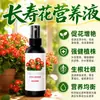 Solução nutritiva especial para Kalanchoe sem diluição fertilizante indutor de flores fertilizante especial para plantas em vaso fertilizante para floração spray foliar