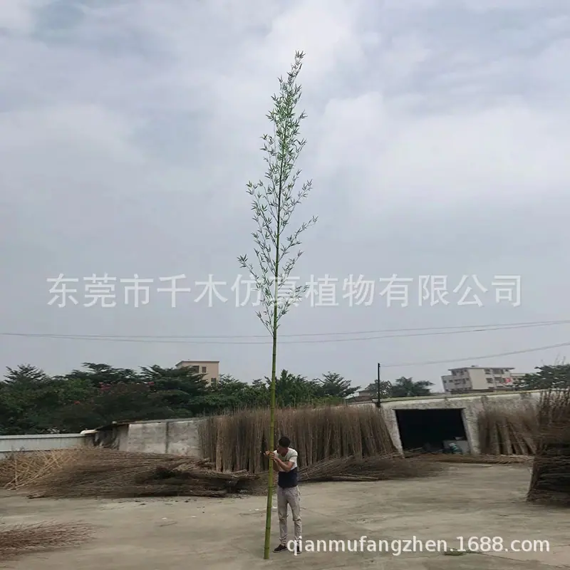 微信图片_201911252236301