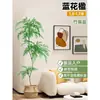 Planta Viva Jacaranda Sala de Estar Planta Grande en Maceta Interior Fácil de Mantener de Pie Flor Real Paisaje Jardinería para Absorber Formaldehído