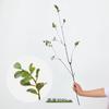 Hoja de arce roja, simulación de decoración del hogar, pequeña rama de hoja de otoño, vid marchita, rama seca, altura 90 cm, flor falsa, arreglo floral, adornos, hoja roja, ciruelo