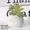 Simulação de pequena bola de cimento bonsai carnudo plantas verdes de interior vasos de plantas escritório desktop pequenos ornamentos adereços de tiro