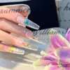 Material de Flores Secas Lentejuela Joyería para Uñas Celebridad de Internet Color Verano Caliente Flor Ópalo Polvo Material Bolsa Accesorios para Uñas
