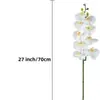 Orquídea Mariposa Blanca Transfronteriza Tela de Seda Arreglo de Flores Artificiales Flor Artificial Decoración de Mesa para Sala de Estar Paisajismo de Bodas Flor Artificial Flor Seca