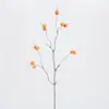 Linterna de Fruta de Árbol Artificial Lannatree Ramas de Fruta Estilo Wabi-Sabi para Paisajismo Artístico, Decoración del Hogar, Flores Artificiales, Ramos de Flores Secas, Accesorios de Fotografía