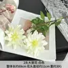 Flores Artificiales de Dalia Doble Cabeza Estilo Nórdico para Decoración de Salón de Bodas, Arreglo Floral de Arco, Arreglo Floral para Exhibición en Mesa de Comedor
