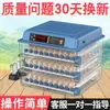 Incubadora Inteligente Totalmente Automática Pequena Máquina Incubadora de Ovos Doméstica para Chocar Ovos de Codorna Ovos Pequenos de Galinha