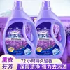 [Frete] Detergente Líquido Atacado Fábrica Direta Fragrância de Lavanda Detergente Líquido Fragrância Presente E-commerce Produtos Químicos de Uso Diário