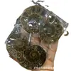Rodajas Fósiles de Caracola Naturales Adornos de Cristal Piedra Cruda Adornos de Escritorio para el Hogar Piedra de Caracola Especímenes Paleontológicos Venta al por Mayor