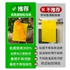 Pegatinas Trampa de Insectos Adhesivas de Doble Cara Fuerte Matanza Insectos Pequeños Voladores Pegar Moscas de la Fruta Señuelo Trampa Artefacto Capturar Mosquitos Moscas Invernadero Tablero Amarillo