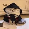 Capa para Mascota Ragdoll Harry Potter Capa Mágica Disfraz de Transformación Gato Perro Ropa para Perro Pequeño Capa