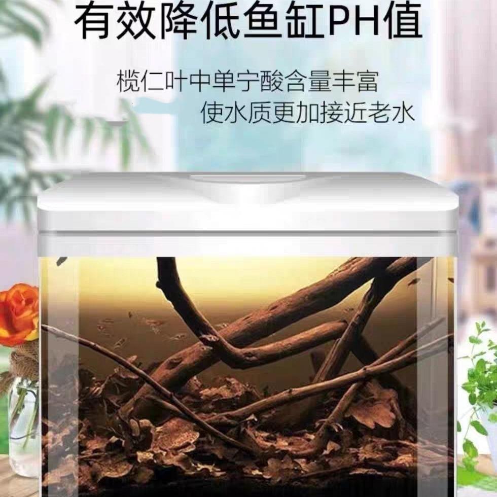 2024-07-30 22:57:50.jpg