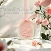 Pedra Difusora Pingente de Aromaterapia Pedra Difusora para Guarda-Roupa Aroma Sólido para Casa Quarto Carro Caixa de Presente Aroma Pendurado Atacado