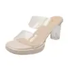 Sandalias de plataforma sexy con diseño de tacón grueso de cristal transparente, nuevo estilo de verano para discoteca, escenario, pasarela, tacones altos.