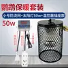 Lámpara de Calor para Loro, Calentador de Pájaros Anti-Quemaduras y Anti-Mordeduras para Codorniz, Esencial de Invierno, Lámpara de Calefacción para Mascotas Hámster