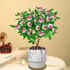 Planta en Maceta Daphne de Phnom Penh, Plántula de Semillero de Pila Vieja de Aroma Fuerte con Capullos, Planta de Flor para Balcón Resistente al Frío, Flor de Interior, Flor de Nochevieja