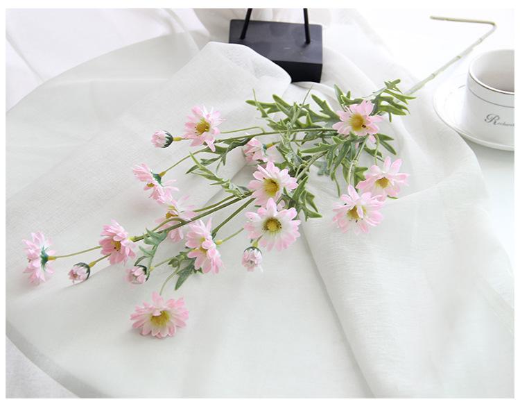 丁香菊3.jpg