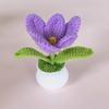 Tulipa em Crochê com Ponto Aberto em Vaso Planta de Mesa Decoração para Casa Pequeno Ornamento Presente Flor Artificial Tecida Pronta