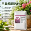 Fertilizante Especial para Buganvilia, Fertilizante Líquido en Spray Foliar, Fertilizante de Propósito General Soluble en Agua para Plantas Verdes de Maceta en Casa