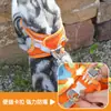 Correa para gato para prevenir escapes, correa especial para gato para salidas, una herramienta mágica para pasear gatitos, arnés y cadena anti-pérdida para mascotas