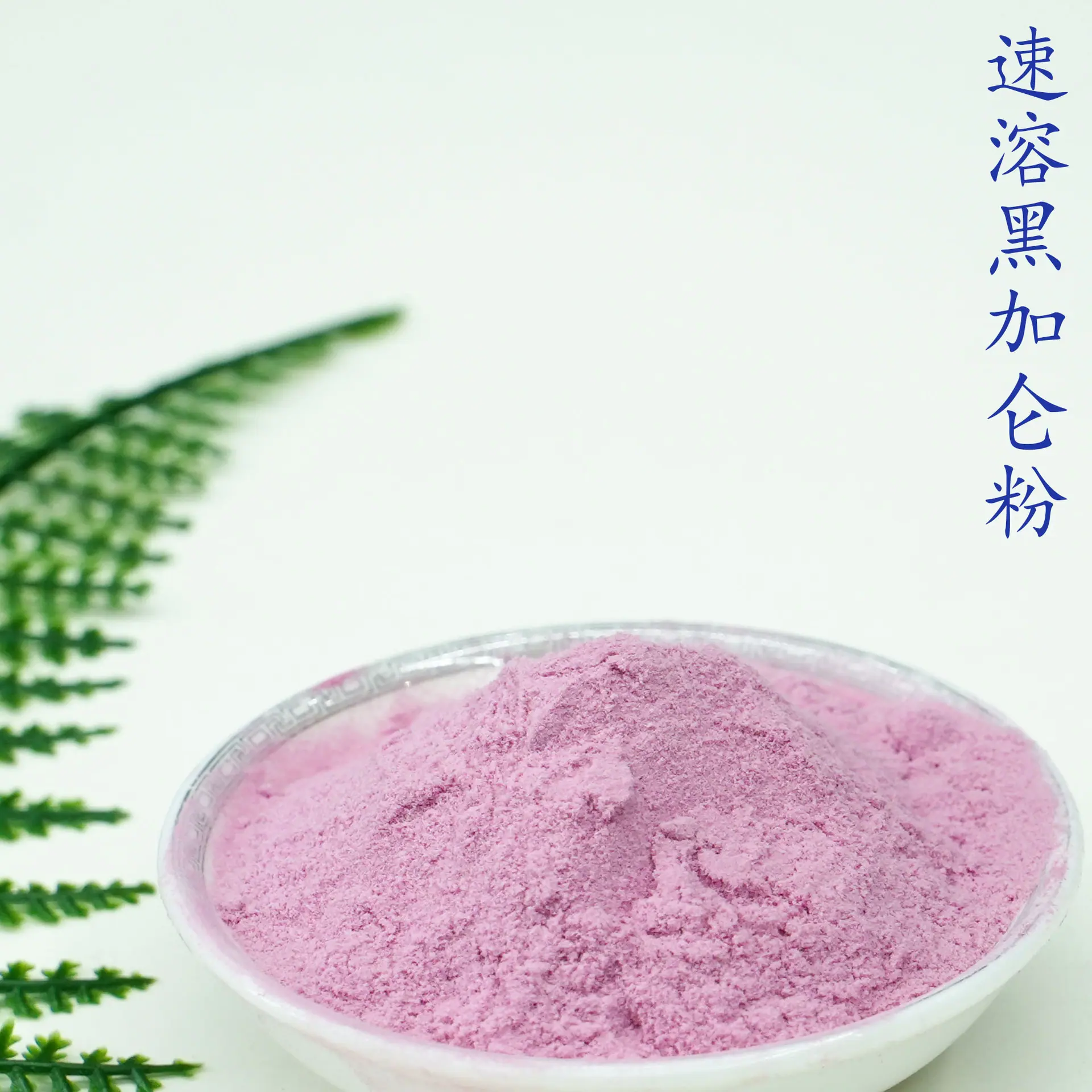 黑加仑粉5.jpg