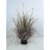 Planta de Hierba de Junco Simulada Personalizada Bonsái Decoración de Ventana Piso Hierba Cola de Perro Heno Césped Cebolla Planta Verde Planta en Maceta