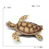 Modelo biológico marino de simulación transfronteriza, protección ambiental sólida, modelo de tortuga carey de PVC, ayuda didáctica cognitiva para la iluminación infantil.
